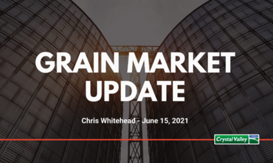 Grain Update 1